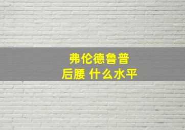 弗伦德鲁普 后腰 什么水平